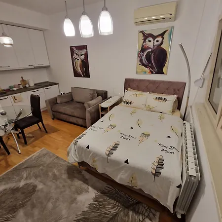 Apartment Owl Belgrade